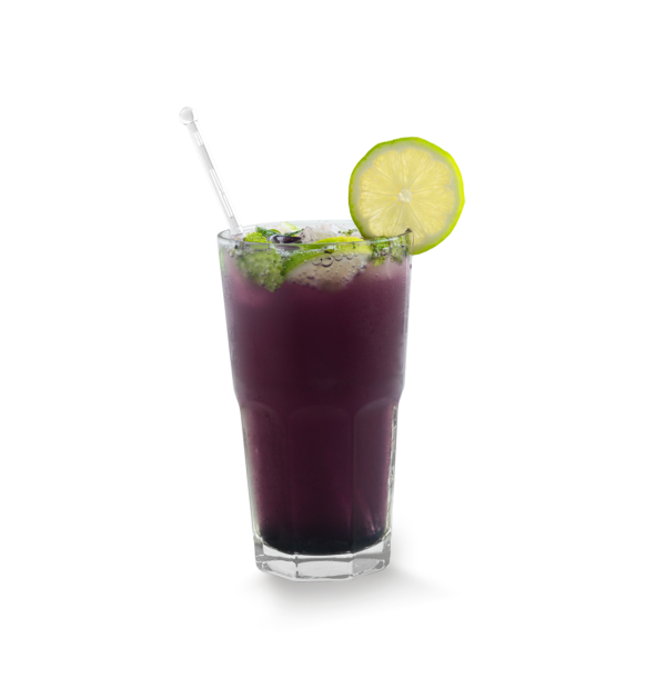 Blueberry Mojito